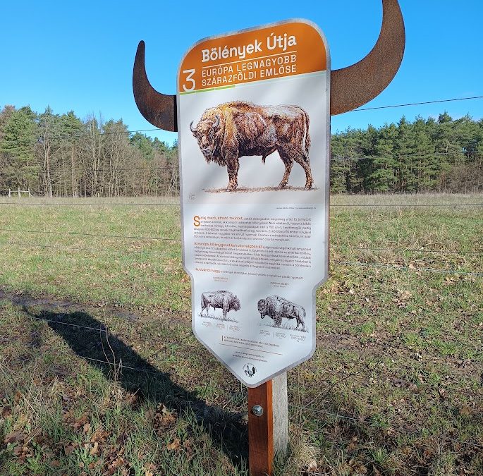 Bölények útja