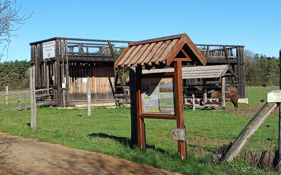 Bölényrezervátum